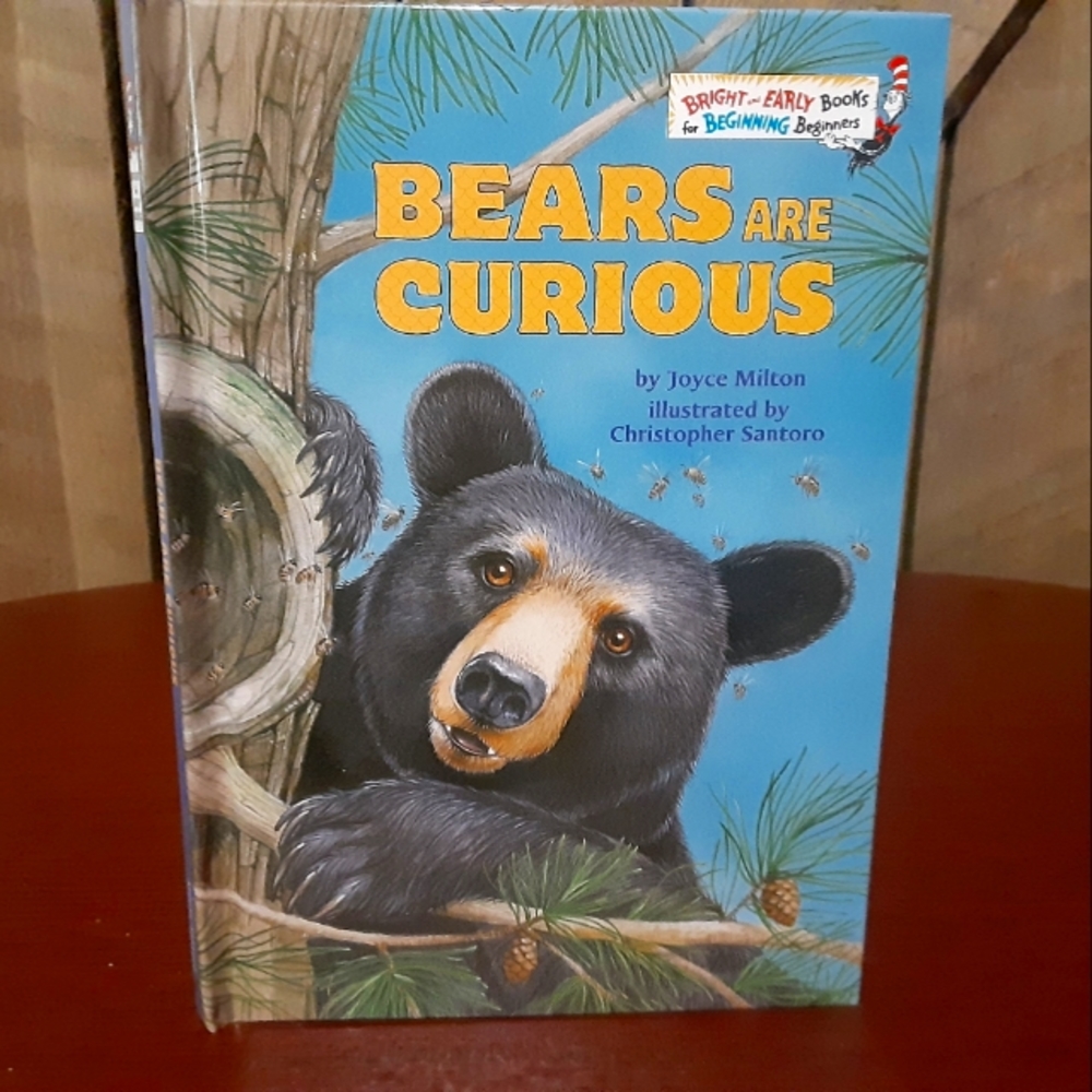 Bears Are Curious - by Joyce Milto